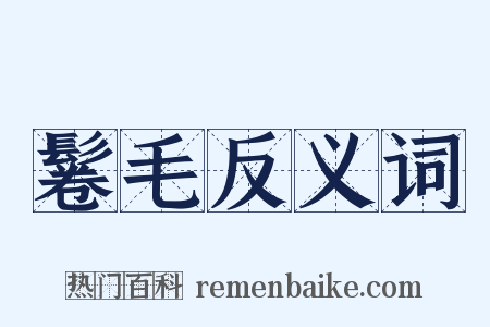 鬈毛反义词是什么意思的图片